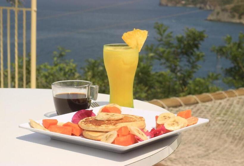 Tayrona Colors Hostel