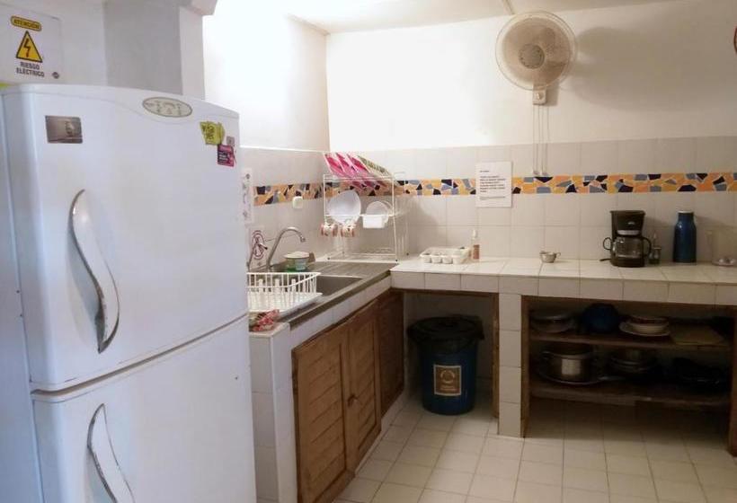 هاستل Republika Divanga