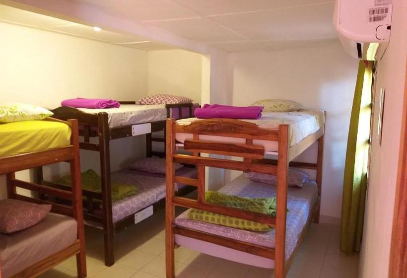 هاستل Republika Divanga