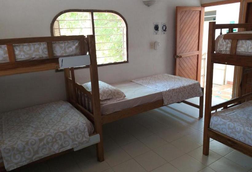 هاستل Republika Divanga