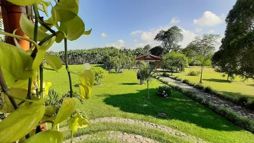 ベッドアンドブレックファースト Finca Hotel Santana