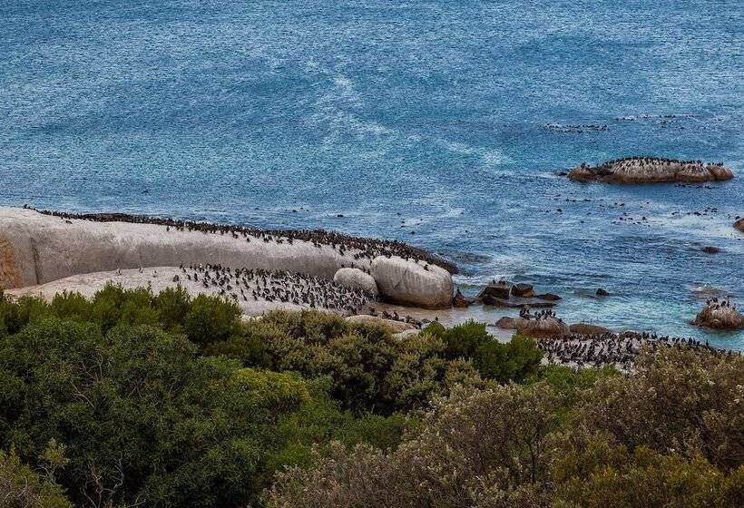 住宿加早餐 Tintswalo Boulders