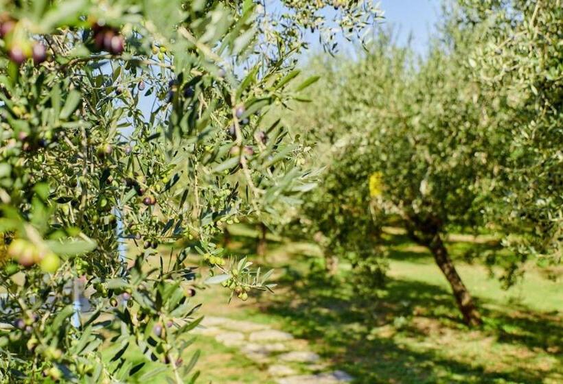 Casa Emilia In Vodnjan Istrien