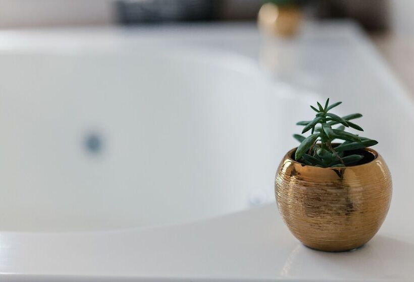 בית מלון כפרי La Plage Residence