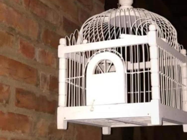 בית מלון כפרי Pousada Engenho Da Lagoa