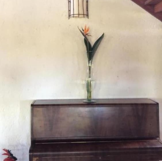 בית מלון כפרי Pousada Engenho Da Lagoa