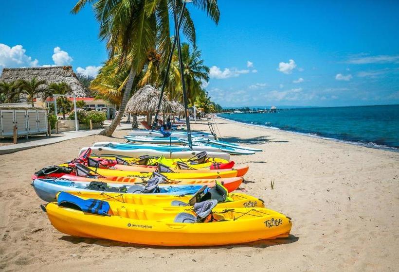 ホテル The Colonial At Jaguar Reef