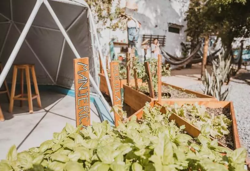 Mundomo Glamping Jericoacoara Hostel