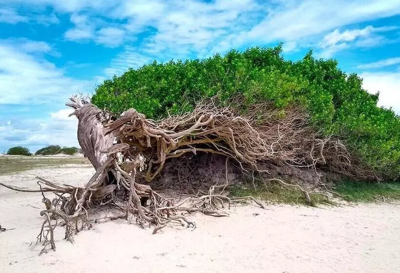 Mundomo Glamping Jericoacoara Hostel