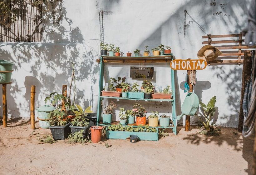 Mundomo Glamping Jericoacoara   Hostel