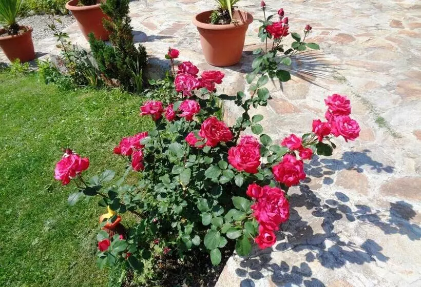 Eagle Rock Holiday Apartments