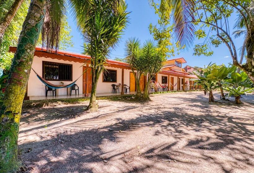 هتل Yucca Beachfront