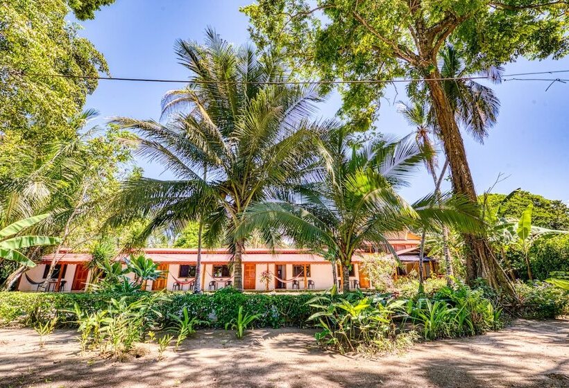 هتل Yucca Beachfront