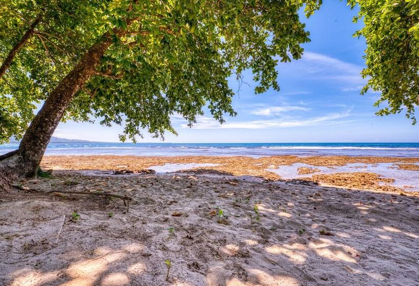 هتل Yucca Beachfront