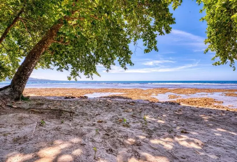 Hotelli Yucca Beachfront