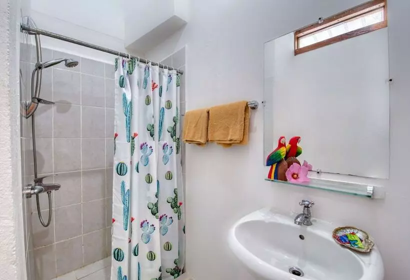 Hotelli Yucca Beachfront