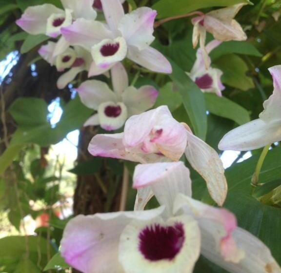 هتل Itamambuca Casa De Praia