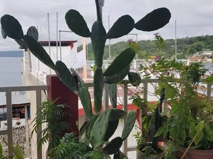 هتل Posada Tayazal