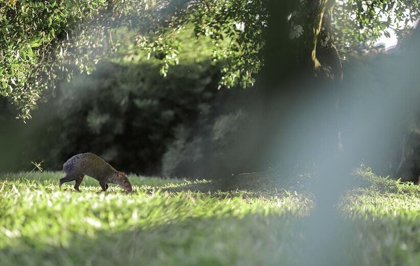 Royal Garden Hotel Boutique