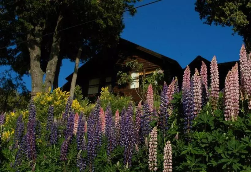 تختخواب و صبحانه Hosteria Belvedere