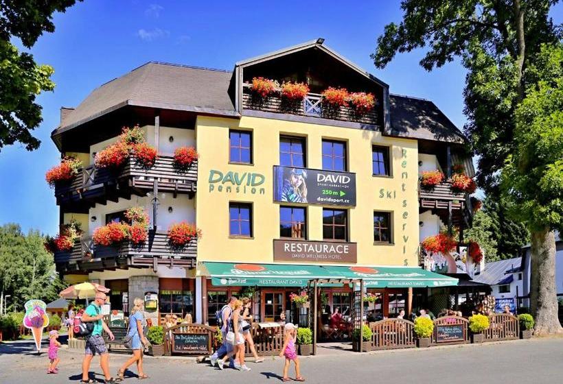 Hotel David Wellness