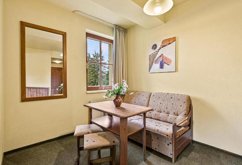 Hotel David Wellness