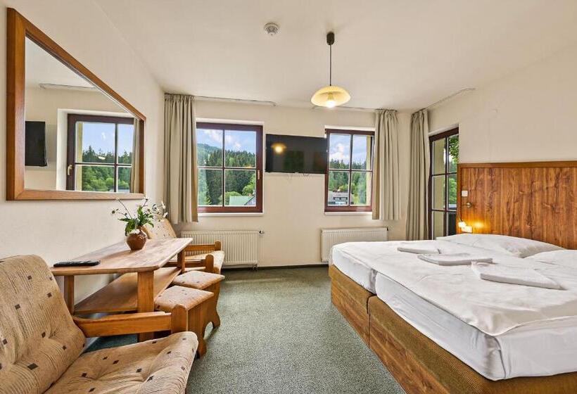 Hotel David Wellness