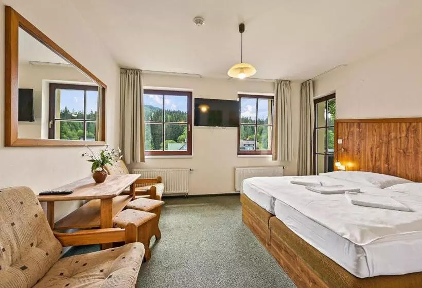 Hotelli David Wellness