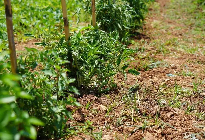 Hotelli Kyparissia Blue