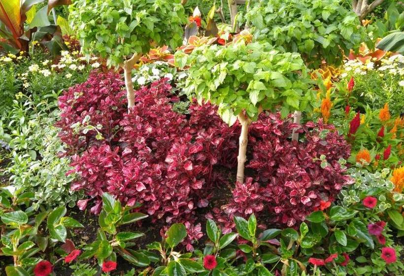 The White House Boutique B&b