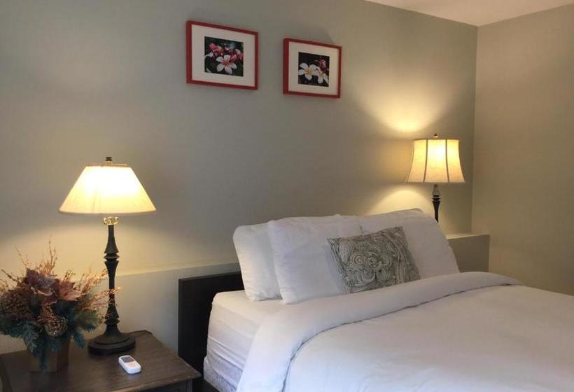 Hope Springs Eternal Bed And Breakfast