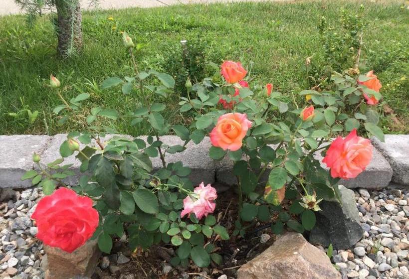 Hope Springs Eternal Bed And Breakfast