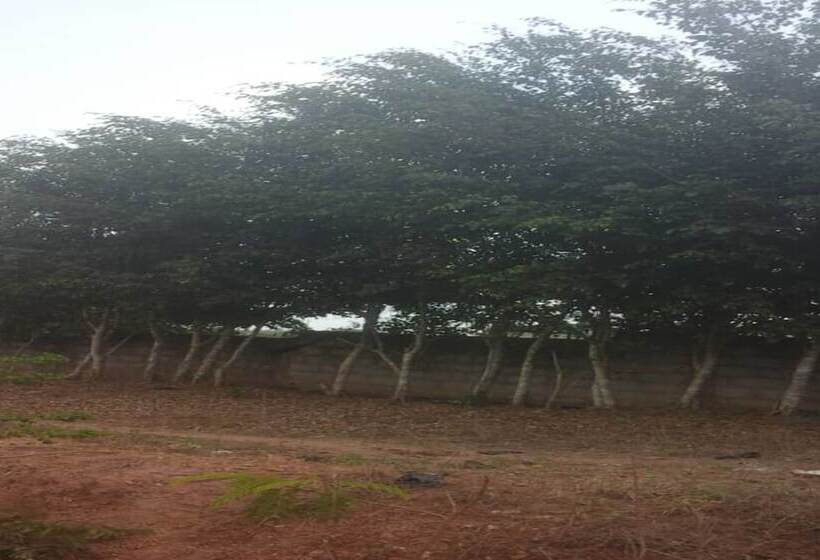 هتل Hôtel Bassame