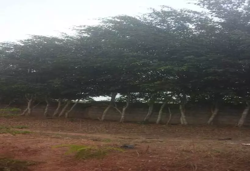 هتل Hôtel Bassame