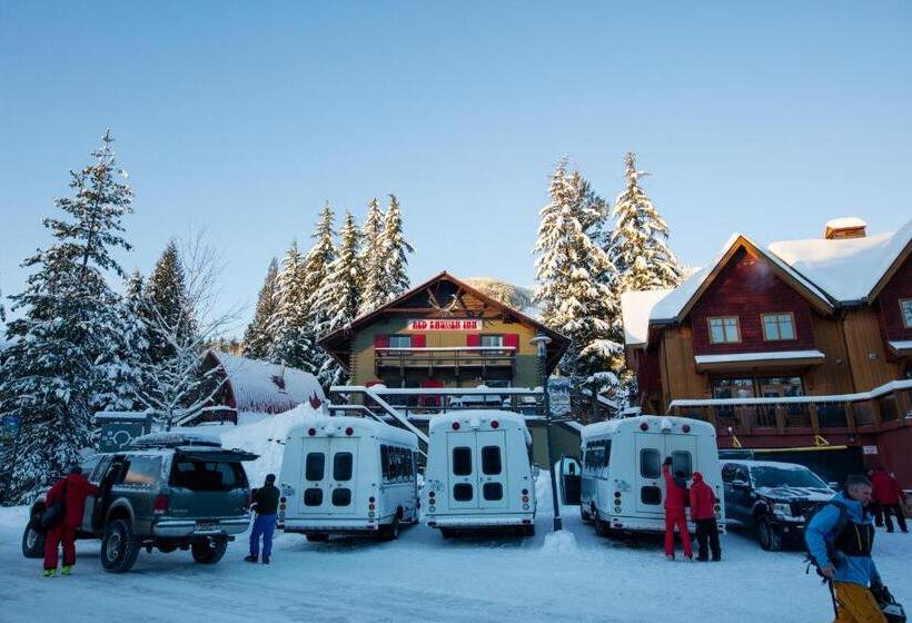 酒店 Red Shutter Inn