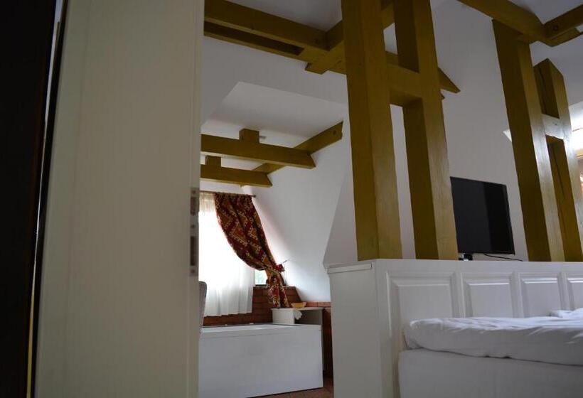 پانسیون Conacul Bratescu