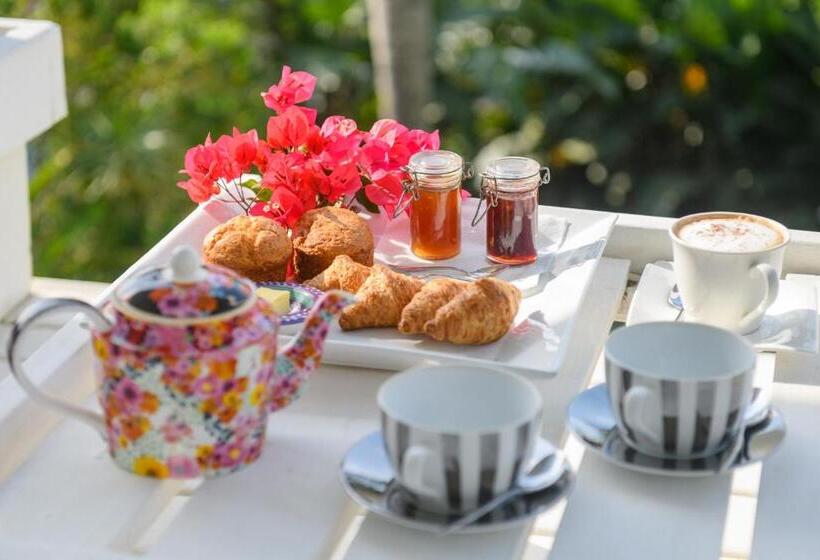 Days At Sea Beach Lodge