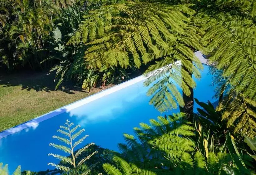 Days At Sea Beach Lodge