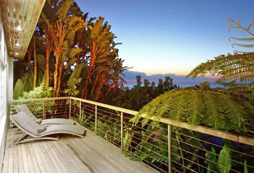 Days At Sea Beach Lodge