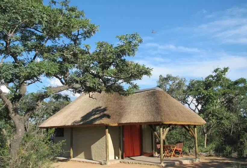 ホテル Ama Amanzi Bush Lodge