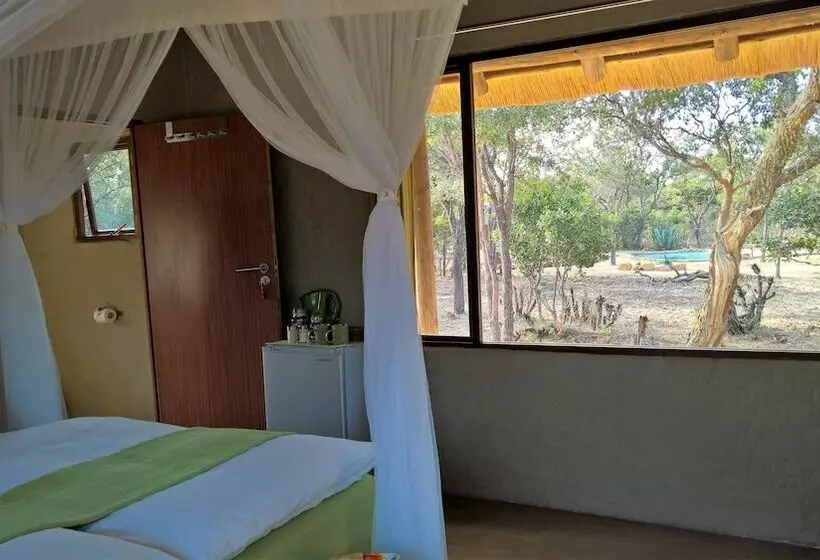 ホテル Ama Amanzi Bush Lodge