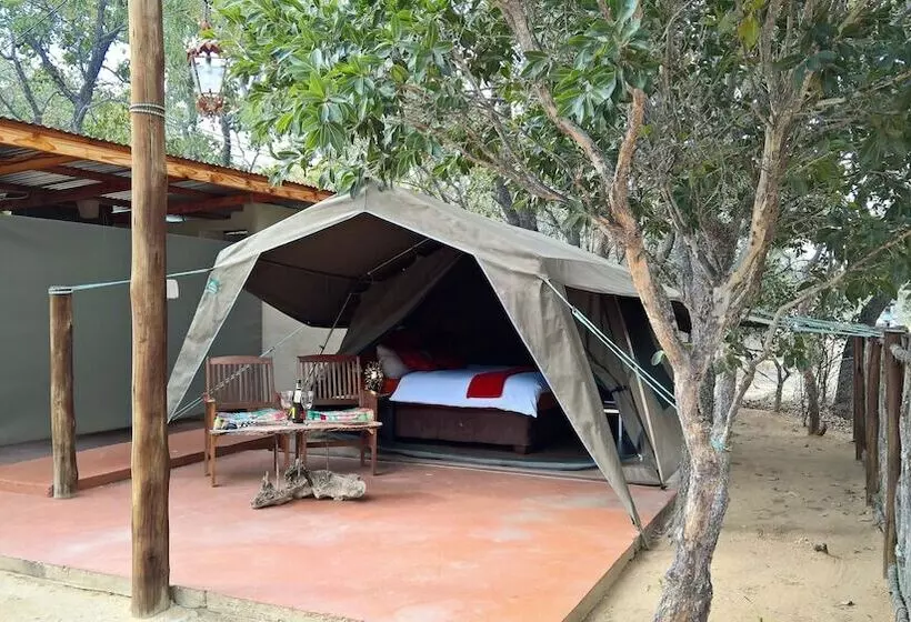 ホテル Ama Amanzi Bush Lodge