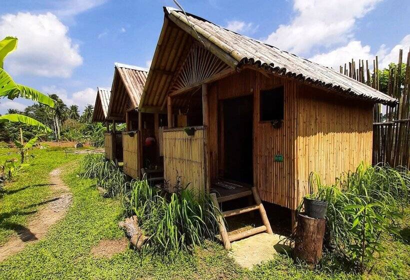 客栈 Banana Grove El Nido