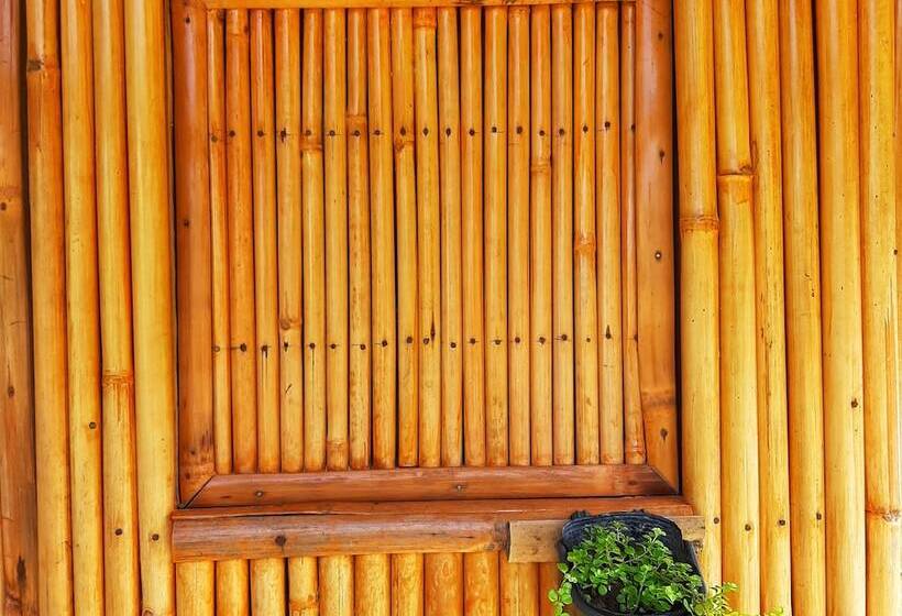 客栈 Banana Grove El Nido