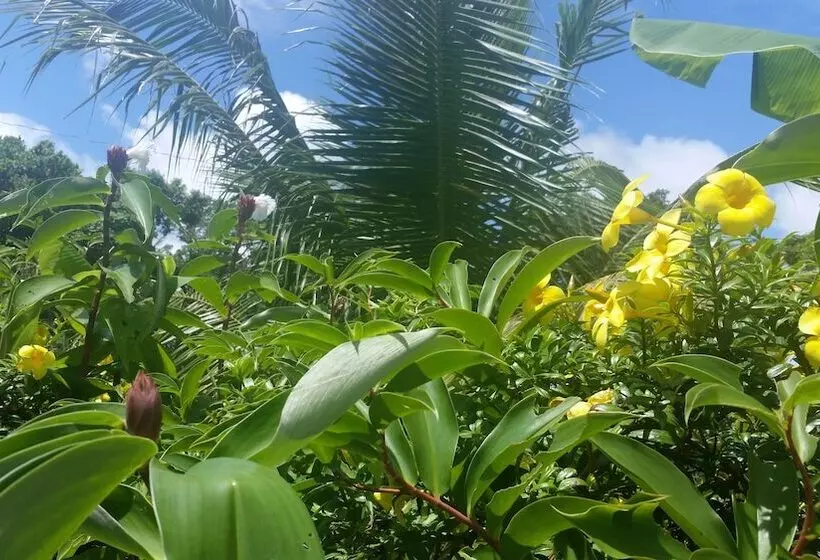 مسافرخانه Banana Grove El Nido
