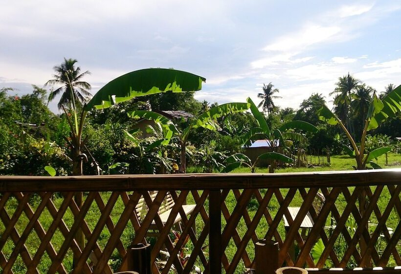 客栈 Banana Grove El Nido