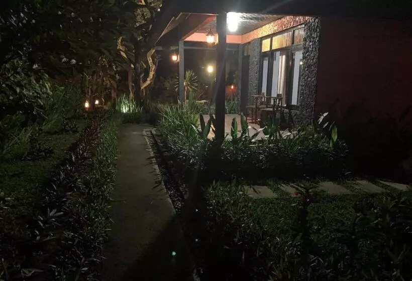 ホテル Batur Sunrise Guesthouse