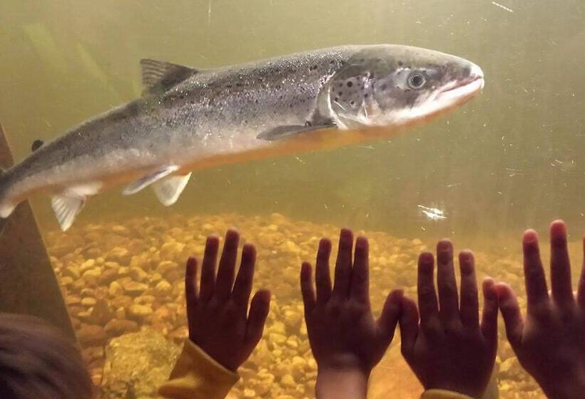 ホテル L Eikerapen Gjestegard