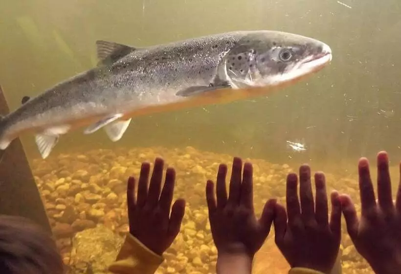 Hotelli L Eikerapen Gjestegard