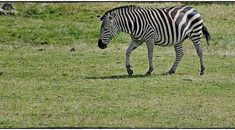 ホテル L Eikerapen Gjestegard